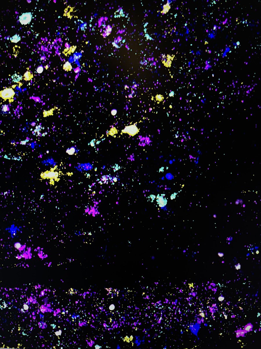 smclaypool's tweet photo. I had an amazing time at the inaugural @cshlcourses High Throughput Neuroanatomy course these past 10 days! Feeling very grateful to have learned some really cool science from some really cool scientists (and look how pretty my barcoded neurons were!) https://t.co/o5qXvzfSIG