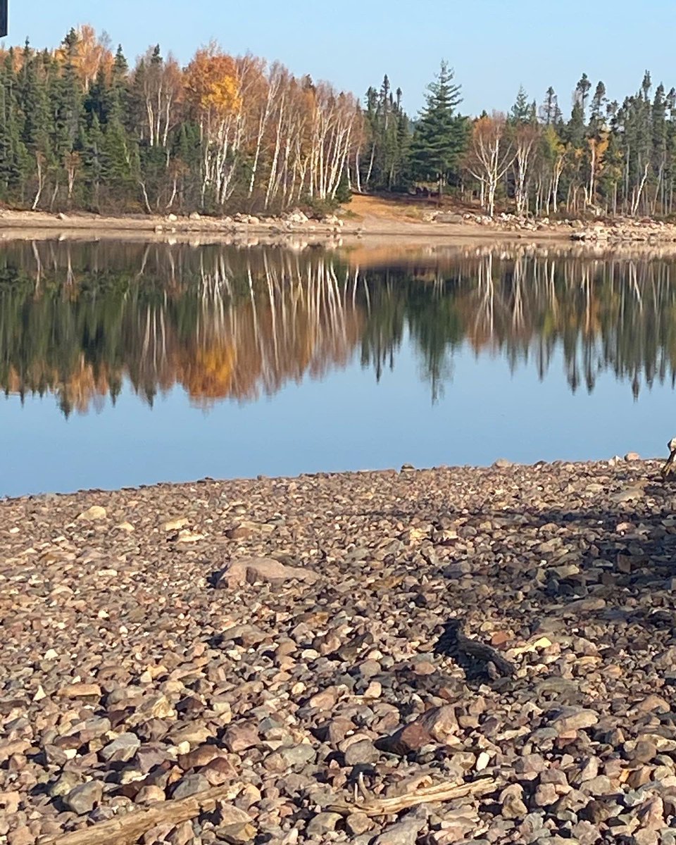 On days like this you have to stop for a moment and take in the beauty ❤️ Birchy at its finest!