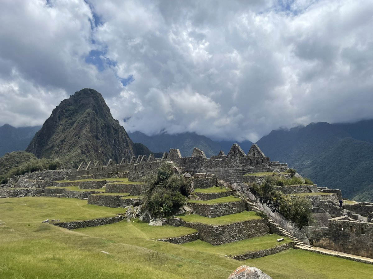 Teresa Yin tweet media