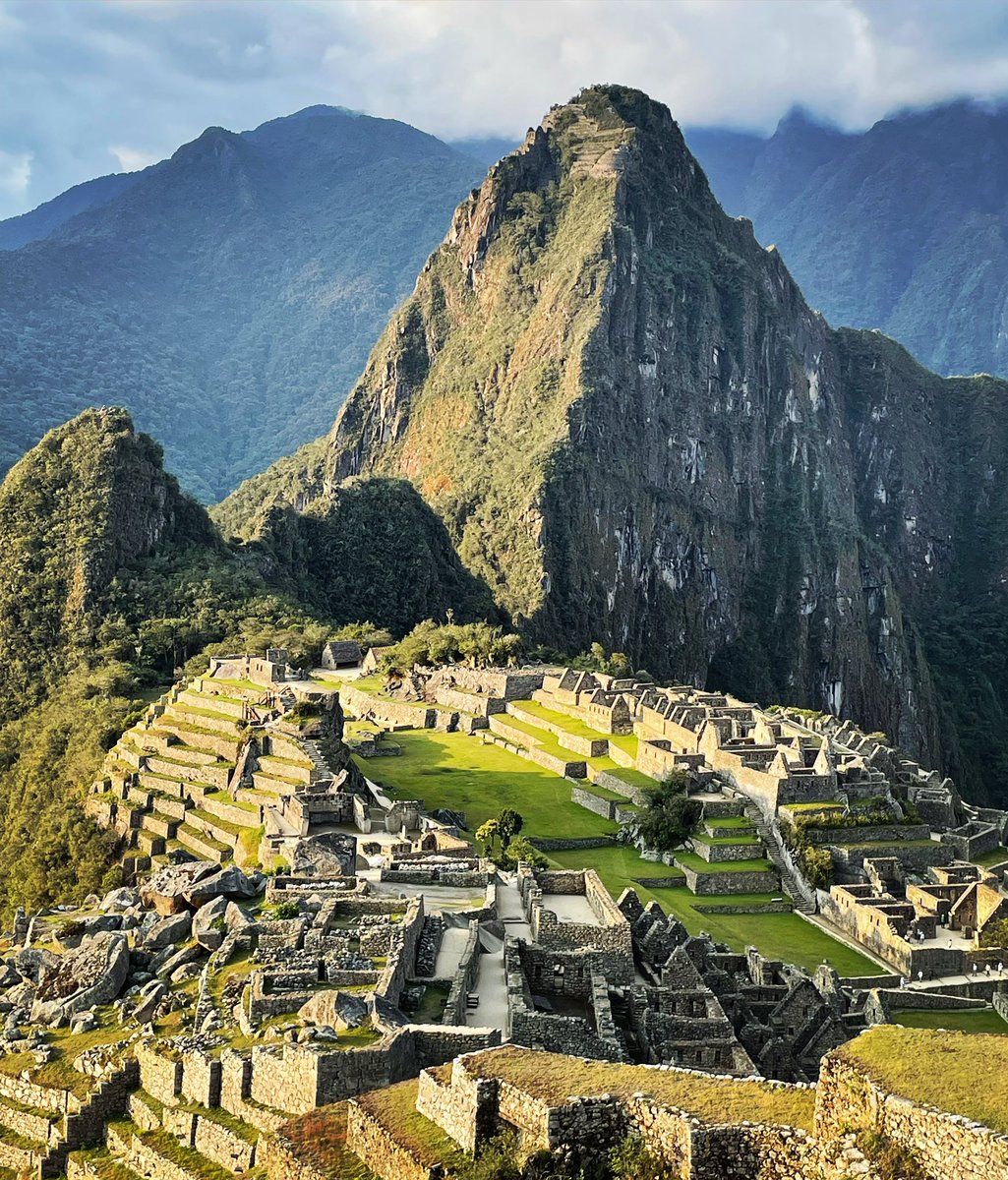 Teresa Yin tweet media