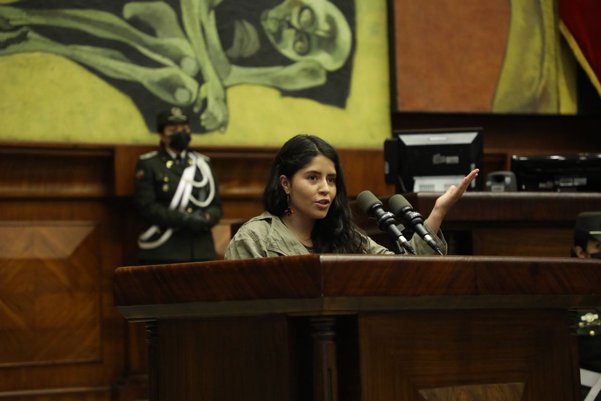 #PlenoLegislativo | Evelyn Yucailla, presidenta de los Consejos Consultivos Nacionales, manifiesta que  la construcción de esta #LeyDeJuventudes no tiene “camiseta política”. Lo que queremos los jóvenes es que esta normativa sea aprobada, añade.