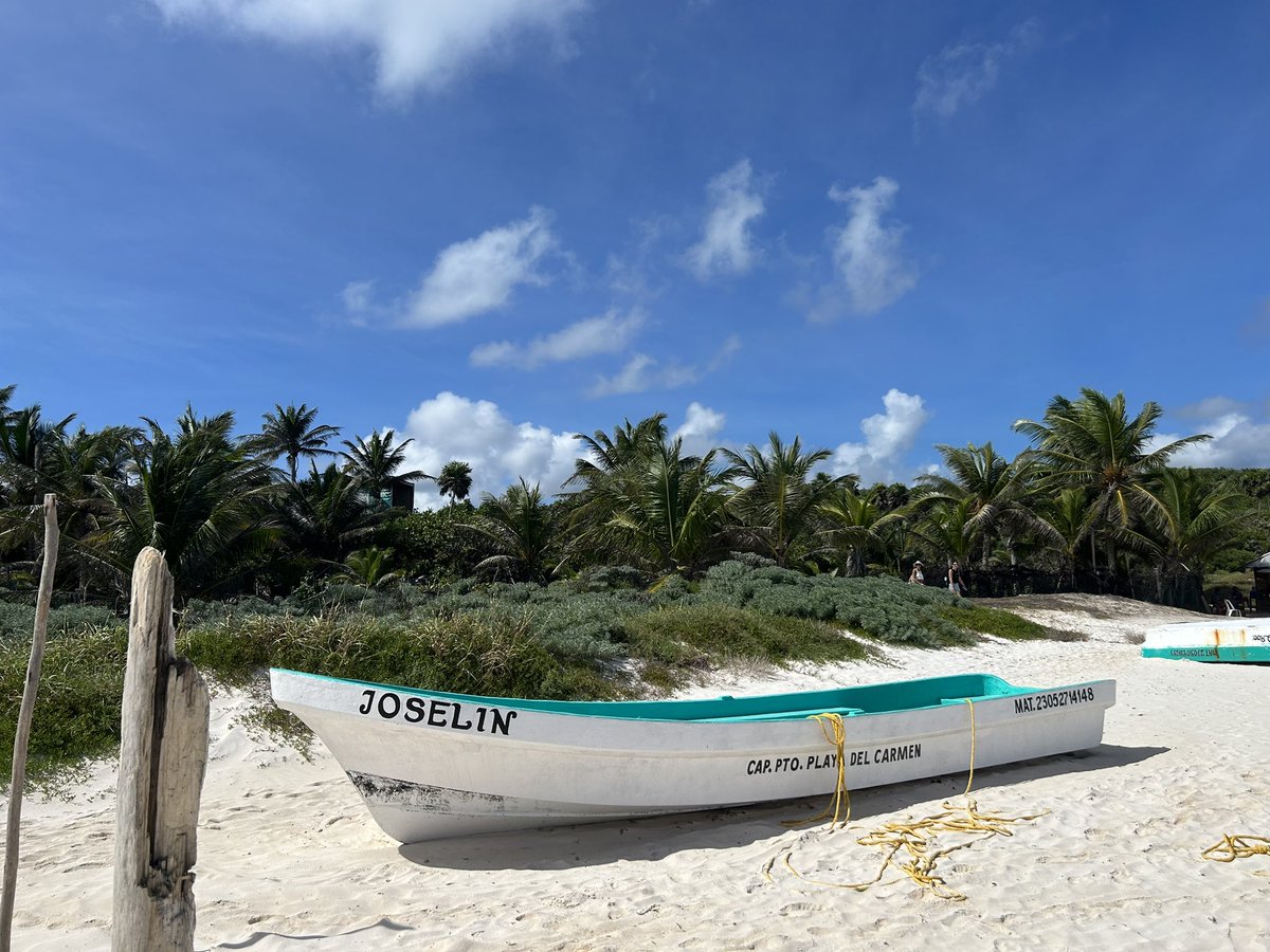 kirin_alen d/acc tweet media