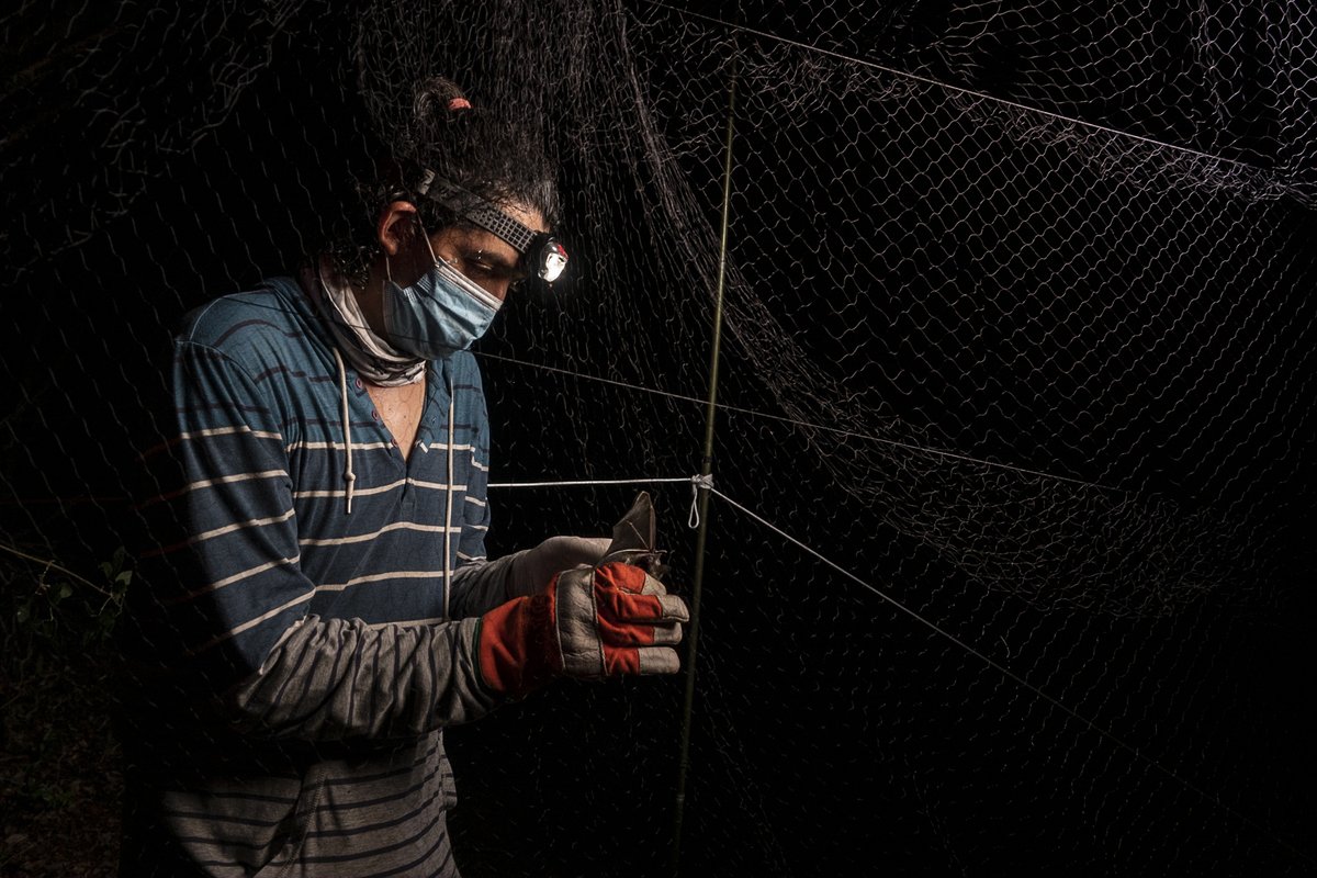 National Geographic Society tweet media