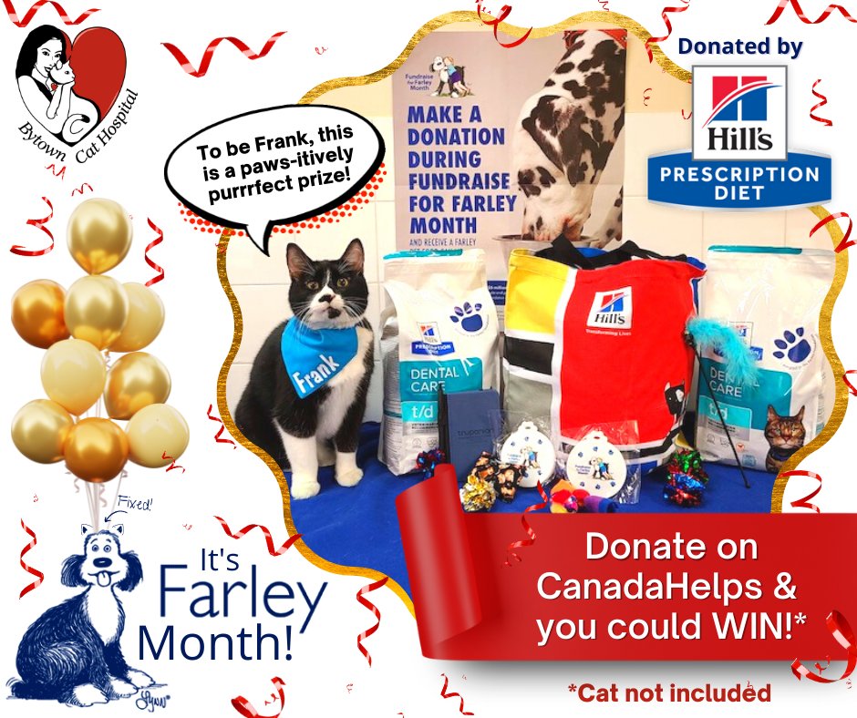 TheCatHospitals's tweet photo. Donate to the #BytownCatHospital #FarleyMonth fundraiser for .@Farleyfndation & you will be entered into our prize draw! This prize was donated by our fur-iends at .@HillsVet ! Donate via CanadaHelps! https://t.co/x4l7ObhV7i
#CatsofTwitter #OVMA #CanadaHelps https://t.co/rsQiv8RBlj