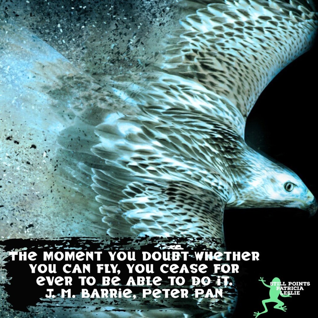 PatriciaLeslieA's tweet image. #QuoteDay 

The moment you doubt whether you can fly, you cease for ever to be able to do it.
J. M. Barrie, Peter Pan🧚‍♀️

#StillPoints 

Image description: grey and silver bird with shimmering blue feathers flying instagr.am/p/CkJk_tttn2J/
