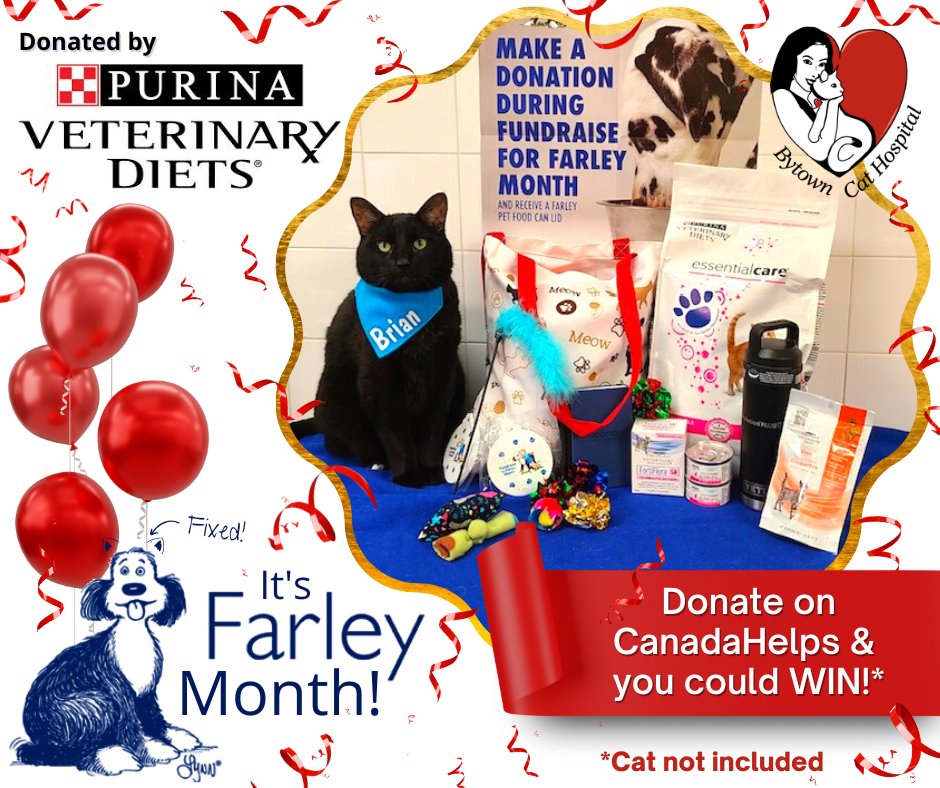 TheCatHospitals's tweet photo. Donate to the #BytownCatHospital #FarleyMonth fundraiser for .@Farleyfndation & you will be entered into our prize draw! This prize was donated by our friends at .@PurinaCanada! Donate via CanadaHelps! https://t.co/x4l7Ob0jII
#CatsofTwitter #OVMA #CanadaHelps https://t.co/pXPnJjTVCp