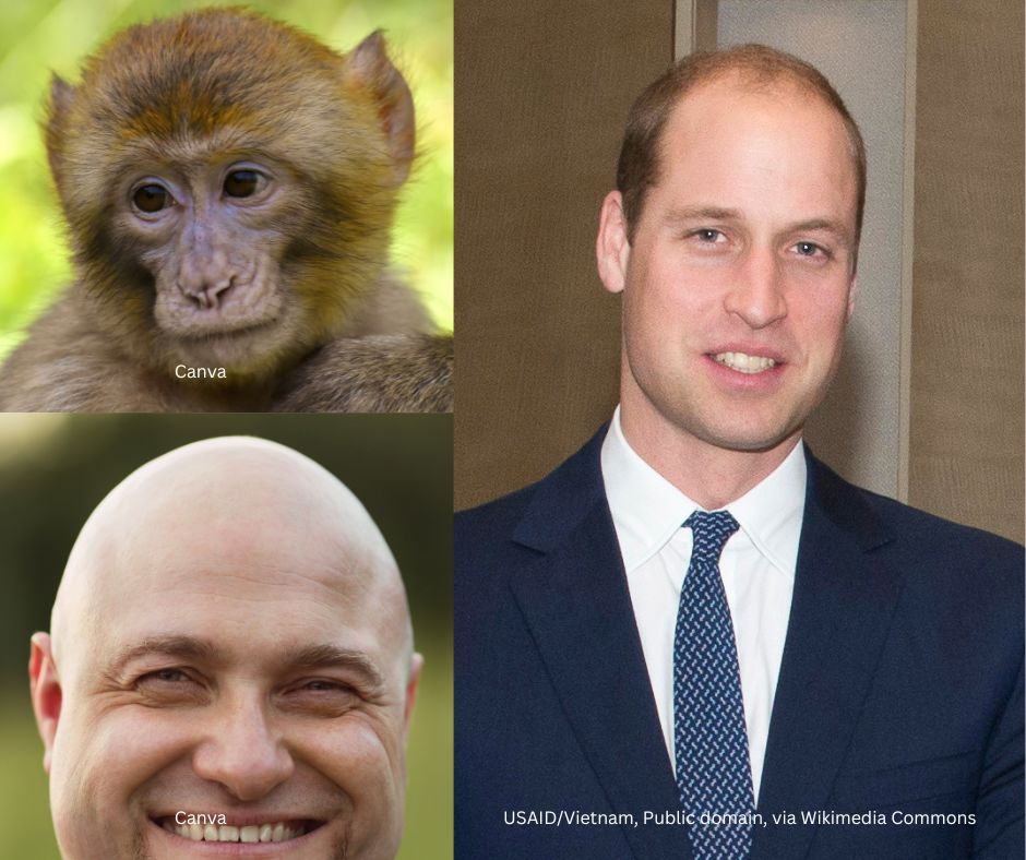 How come your brain goes, 'Lock it in, Eddie.' but ...😳 - mailchi.mp/9acada220ef9/l…