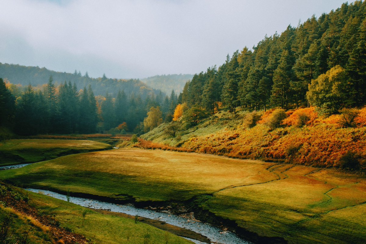 DanielCasson1's tweet photo. Derwent Colours 🍂 // https://t.co/fj81MrwBEd