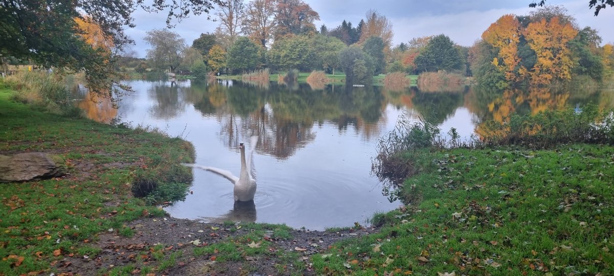 Schools Development tweet media