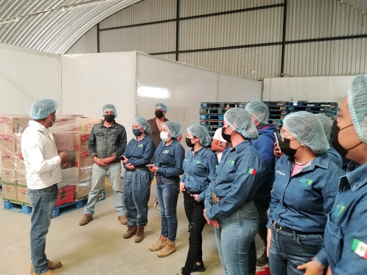 utvco's tweet photo. Estudiantes de @agro_utvco realizaron visita empresarial a:

🔸Orquidiario “La Encantada”🔸Rancho Hulloa 
🔸Agro Bin Gansack

Agradecemos al sector productivo por permitirnos fortalecer las habilidades de la comunidad estudiantil.

#EducaciónDeCalidad https://t.co/ftHEFswHD4