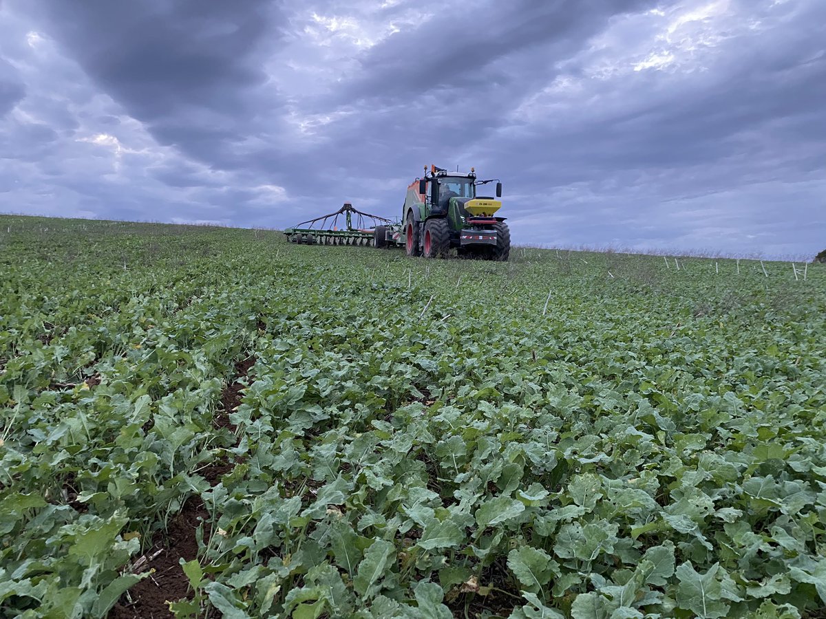 Début des semis #ble #R23