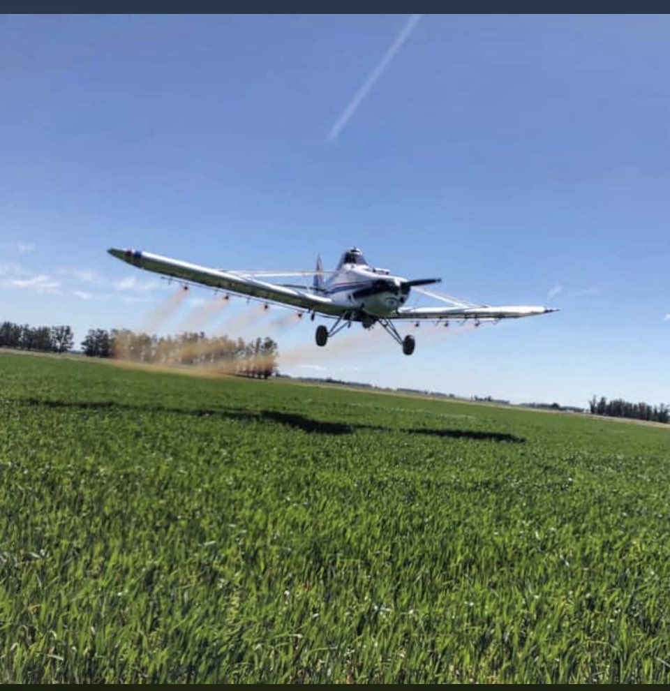 PiperEduardo's tweet photo. #smartfoil con avión apuntando a aumento de rinde, mitigar efecto de stress abiótico (seca, frio, viento) https://t.co/kcMtdlpNlD