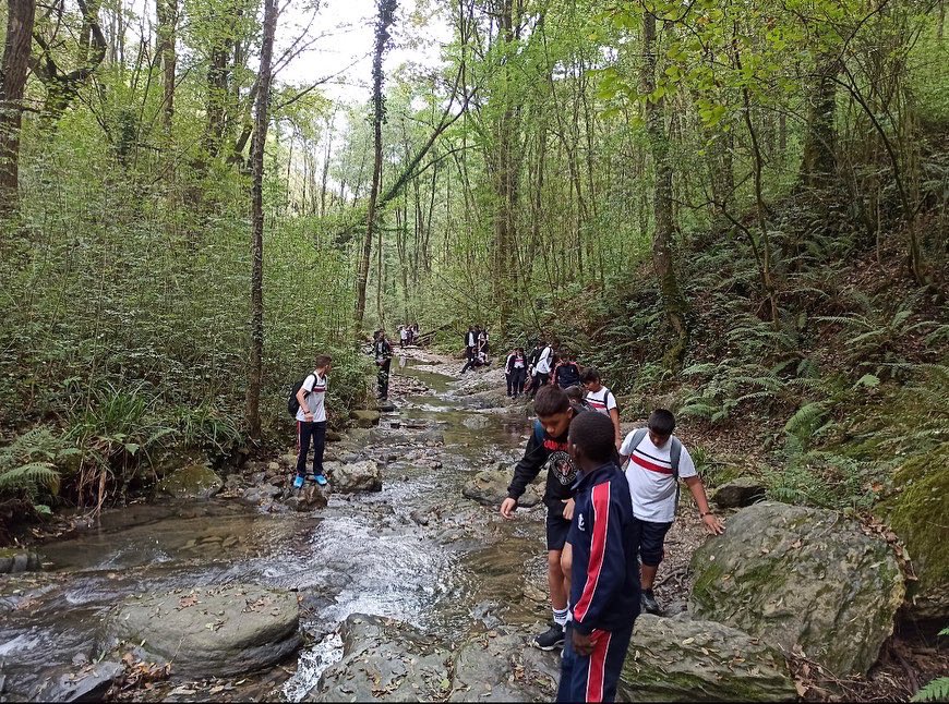 El otro día fuimos de excursión a descubrir la cascada de Bolintxu. Compartimos, disfrutamos, aprendimos y cuaidamos de la naturaleza que nos rodea.
¡¡Somos un equipo genial!!

#naturaleza #deporte #aprender