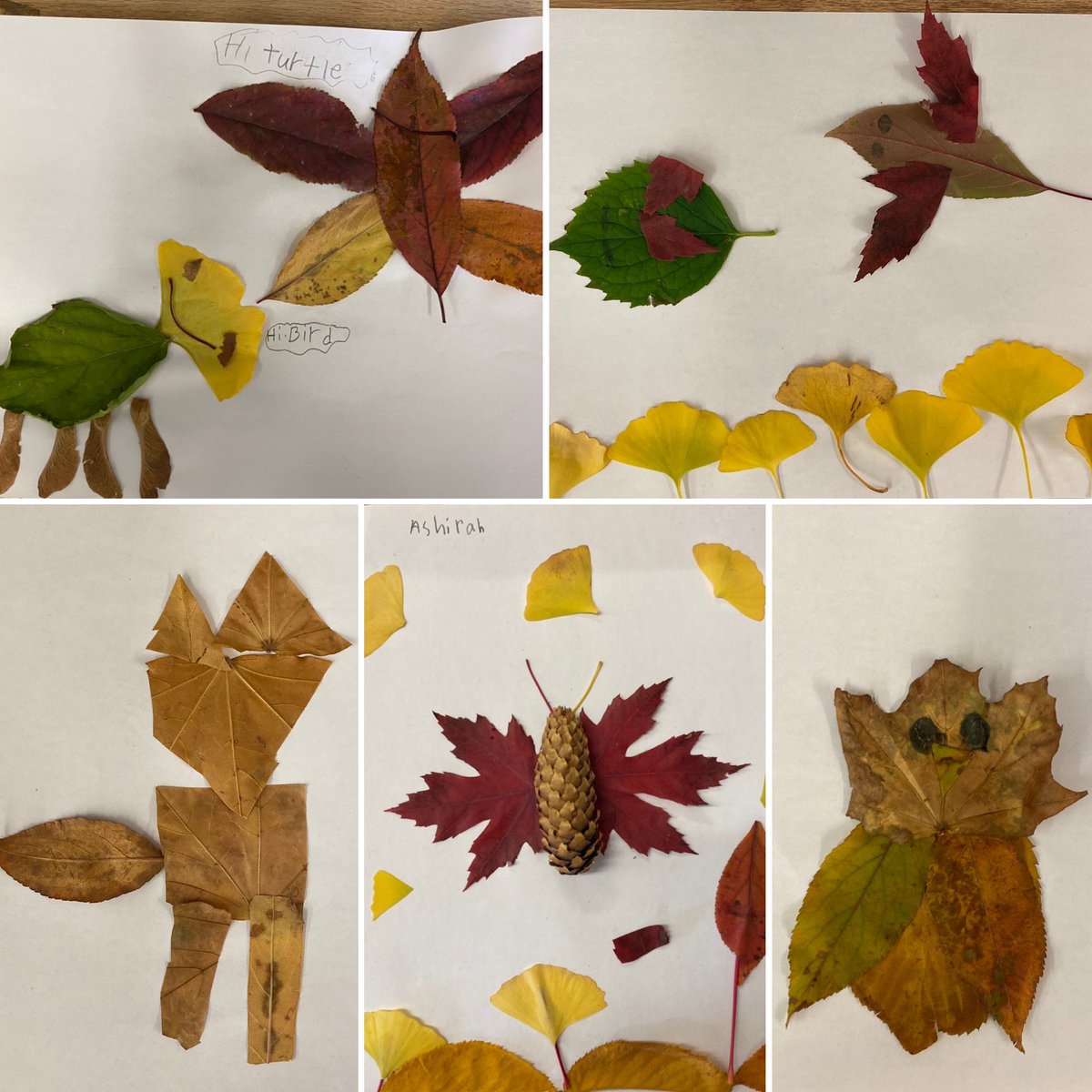 Ms.Salituro tweet media