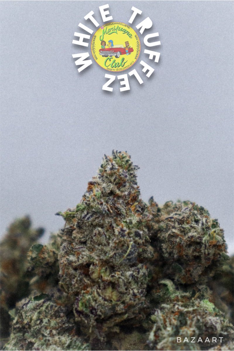 rushgreen15's tweet photo. ‼️New Drop This Week‼️

Follow me on Instagram: @marijuanaclub.916 
Text me: 916-519-9848
Follow me on Twitter: @rushgreen15
Follow my YouTube Page: marijuana club 916
go to my website @ https://t.co/uTHbse5l7c https://t.co/GlEDWOTyox