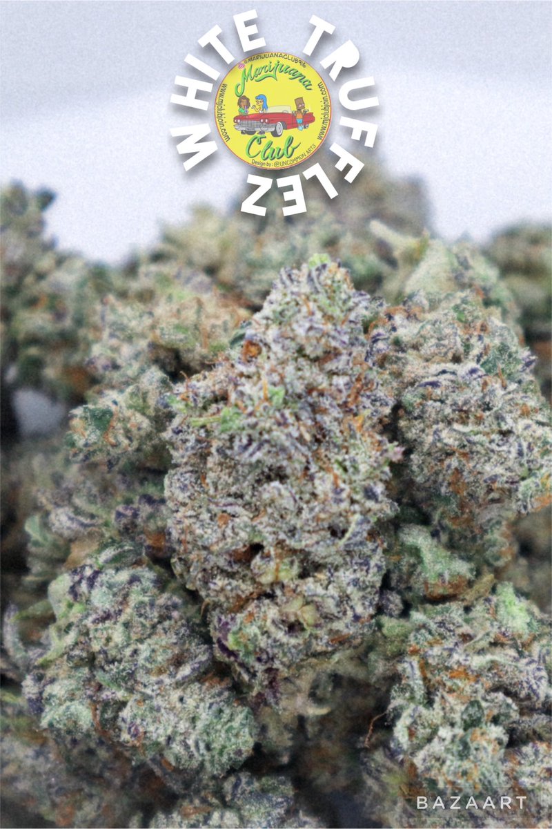 rushgreen15's tweet photo. ‼️New Drop This Week‼️

Follow me on Instagram: @marijuanaclub.916 
Text me: 916-519-9848
Follow me on Twitter: @rushgreen15
Follow my YouTube Page: marijuana club 916
go to my website @ https://t.co/uTHbse5l7c https://t.co/GlEDWOTyox