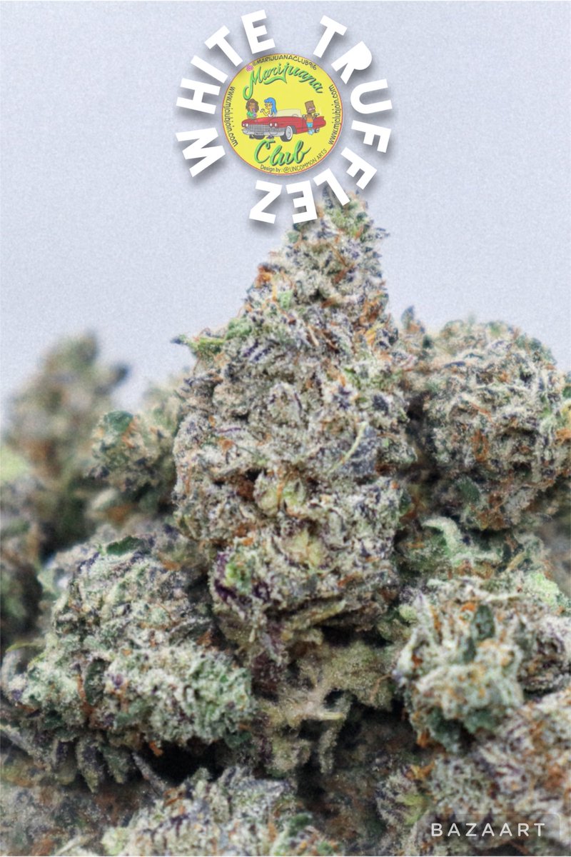 rushgreen15's tweet photo. ‼️New Drop This Week‼️

Follow me on Instagram: @marijuanaclub.916 
Text me: 916-519-9848
Follow me on Twitter: @rushgreen15
Follow my YouTube Page: marijuana club 916
go to my website @ https://t.co/uTHbse5l7c https://t.co/GlEDWOTyox