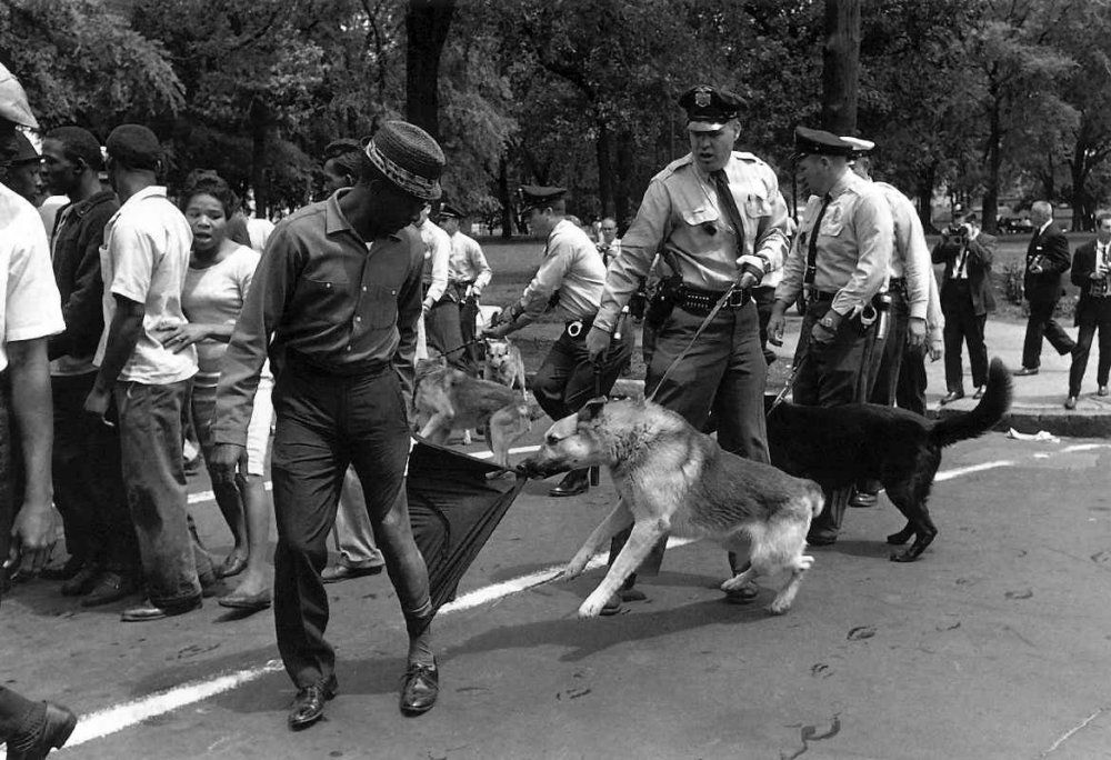 bigdogewoof's tweet photo. #VoterIntimidation this happened in America to Americans!! Now look!! Shameful!! https://t.co/9UdKwOzpZ6