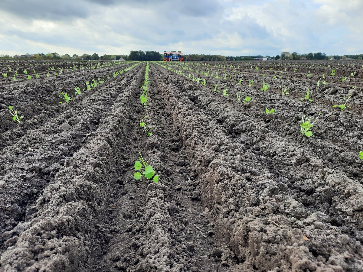 Ploegen, valeriaan planten en gerst zaaien. Lekker bezig op de akker 🤠