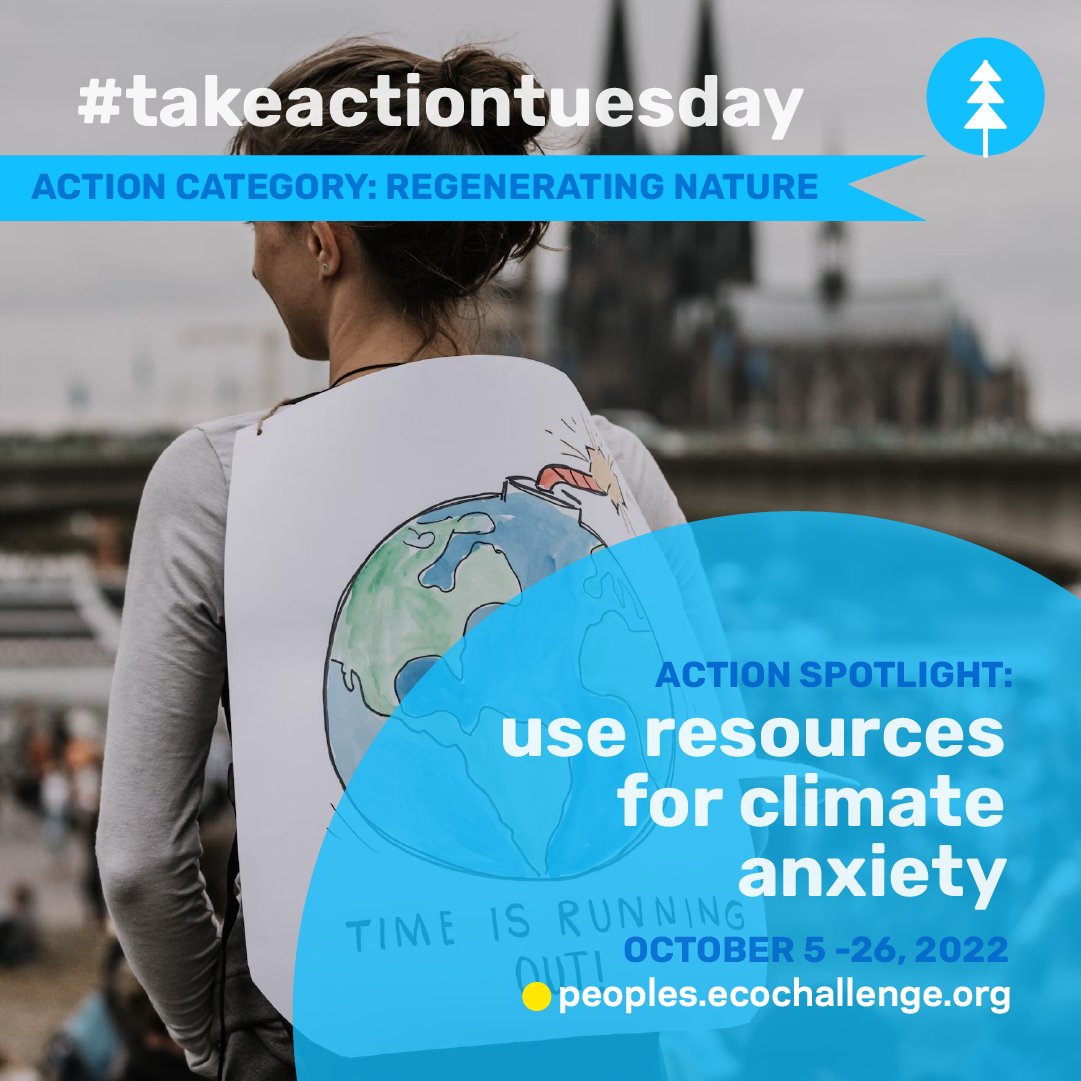 Ecochallenge.org tweet media