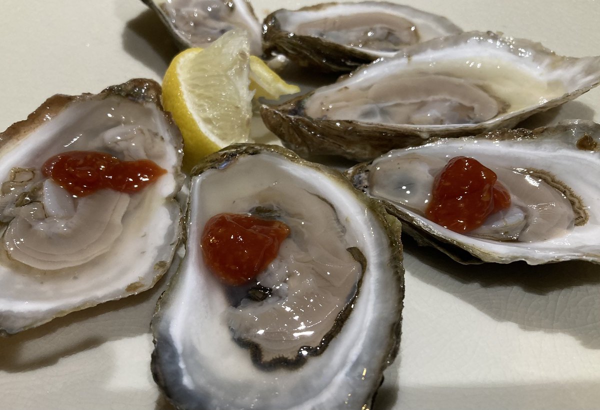 cctphotographer's tweet image. Nothing beats fresh Cape Cod oysters delivered by our fabulous friend. @capecodtimes #oysters #capecod #capecodlocal #brewsterflats