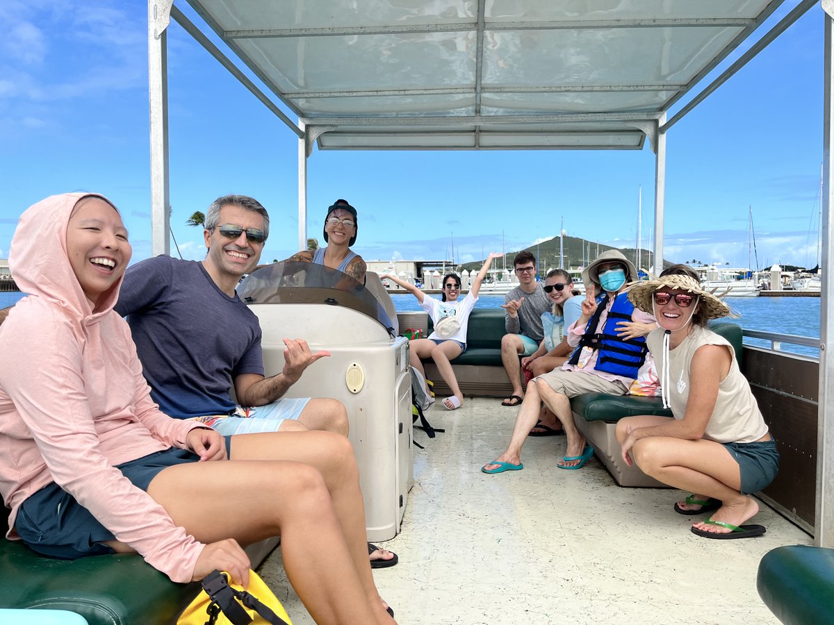 Yinphan Tsang tweet media