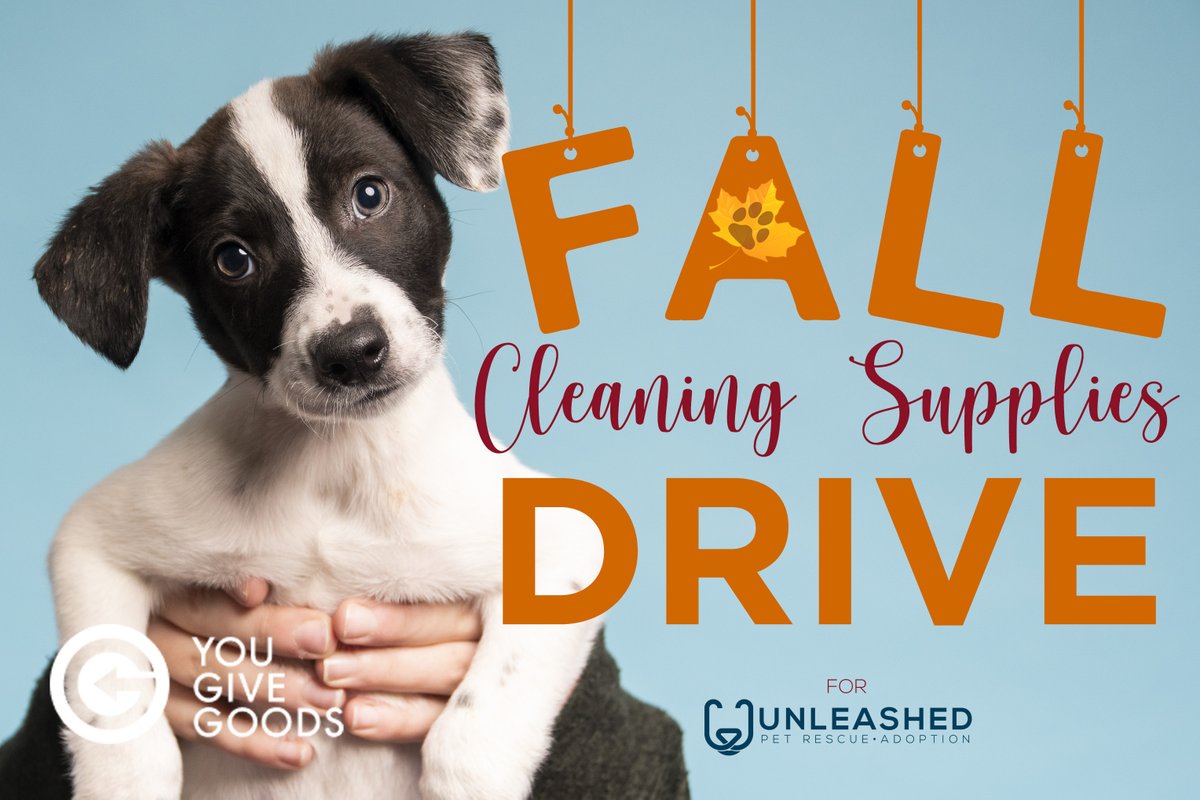 Shop to donate to our Fall Cleaning Supplies Drive through <a href="/YouGiveGoods/">YouGiveGoods</a>! Items will ship directly to our shelter!💙🐾🧻
Shop our special list now! ✨ yougivegoods.com/falldrive
