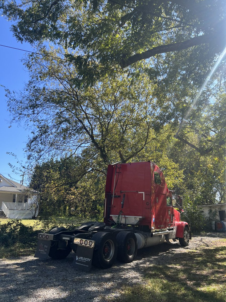 🐕Ðoge✝️Cherball🚀 tweet media