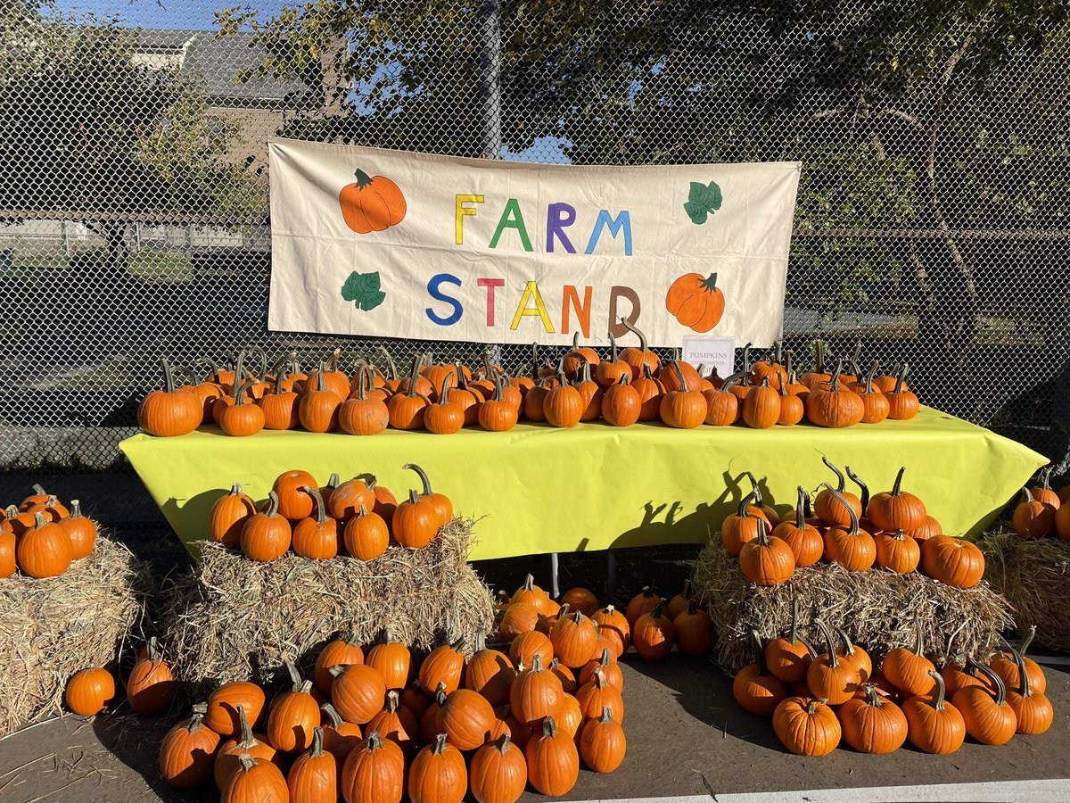 PS215K's tweet photo. We had a wonderful Fall Harvest Festival on Saturday with our Grades 2-5 students and their families @D21_Community https://t.co/eViYMjlY3V