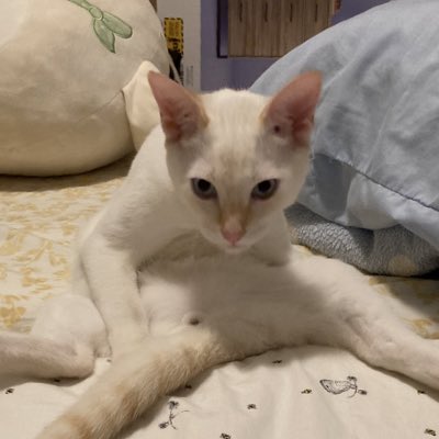botoboymerlin's tweet photo. #NewProfilePic https://t.co/k3n5wB64ow