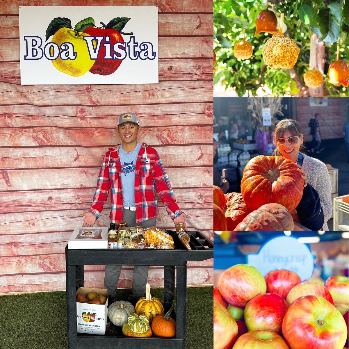 MikuniTaro's tweet photo. #AppleHill is my wife’s Disneyland! 🎉 I appreciate the private  tour by Erica (6th generation farmer) &amp; all the yummy food! I can’t stop eating &amp; the brisket sando was out of this world!  #ApplePie #chestnutpicking #AppleCider #pears #pumpkins @boavistaorchard @applehill https://t.co/4weZROssxZ