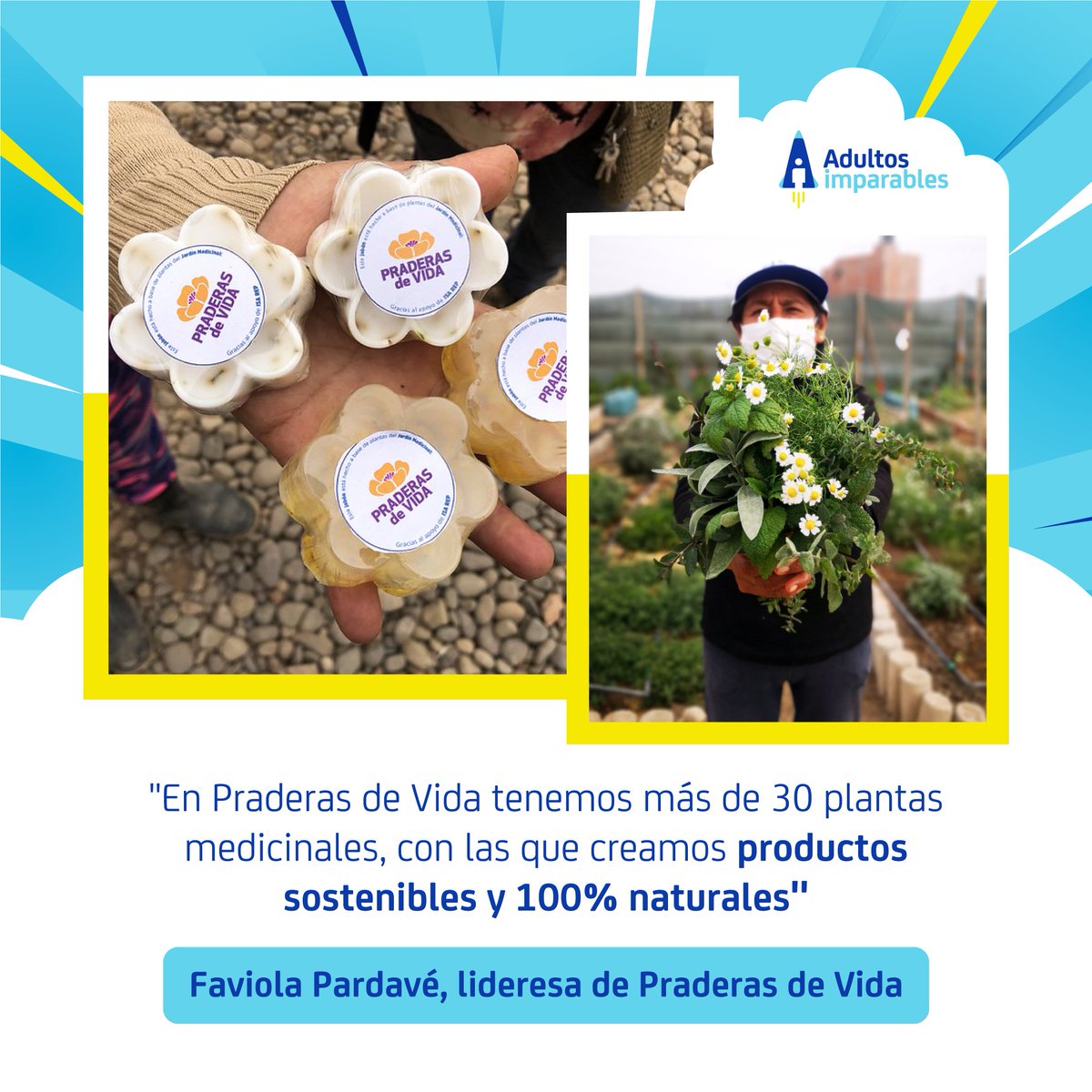 rodripuntriano's tweet photo. Estas mujeres transformaron un basural en un jardín de plantas medicinales, que procesan y comercializan. Un emprendimiento social finalista del #DesafíoKunan y parte de #AdultosImparables #ElDespegue, iniciativa de #AFPIntegra 
#EmbajadoresIntegra

https://t.co/jZO0S5F7BW https://t.co/1zrrFzy188