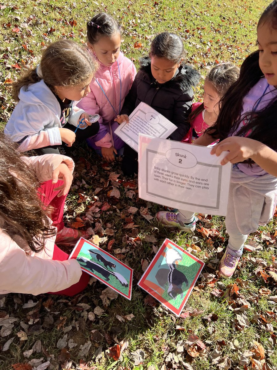 JJaramilloESL's tweet photo. Last week, we went to Catawba Science center to learn about animal life cycles and sea animals.
2nd grade had so much fun!
Thank you @GOoutsideNC for this great language learning opportunity for my multilingual learners!
@RSSchoolsNC @knollwoodelem https://t.co/o0xjRA3vOs