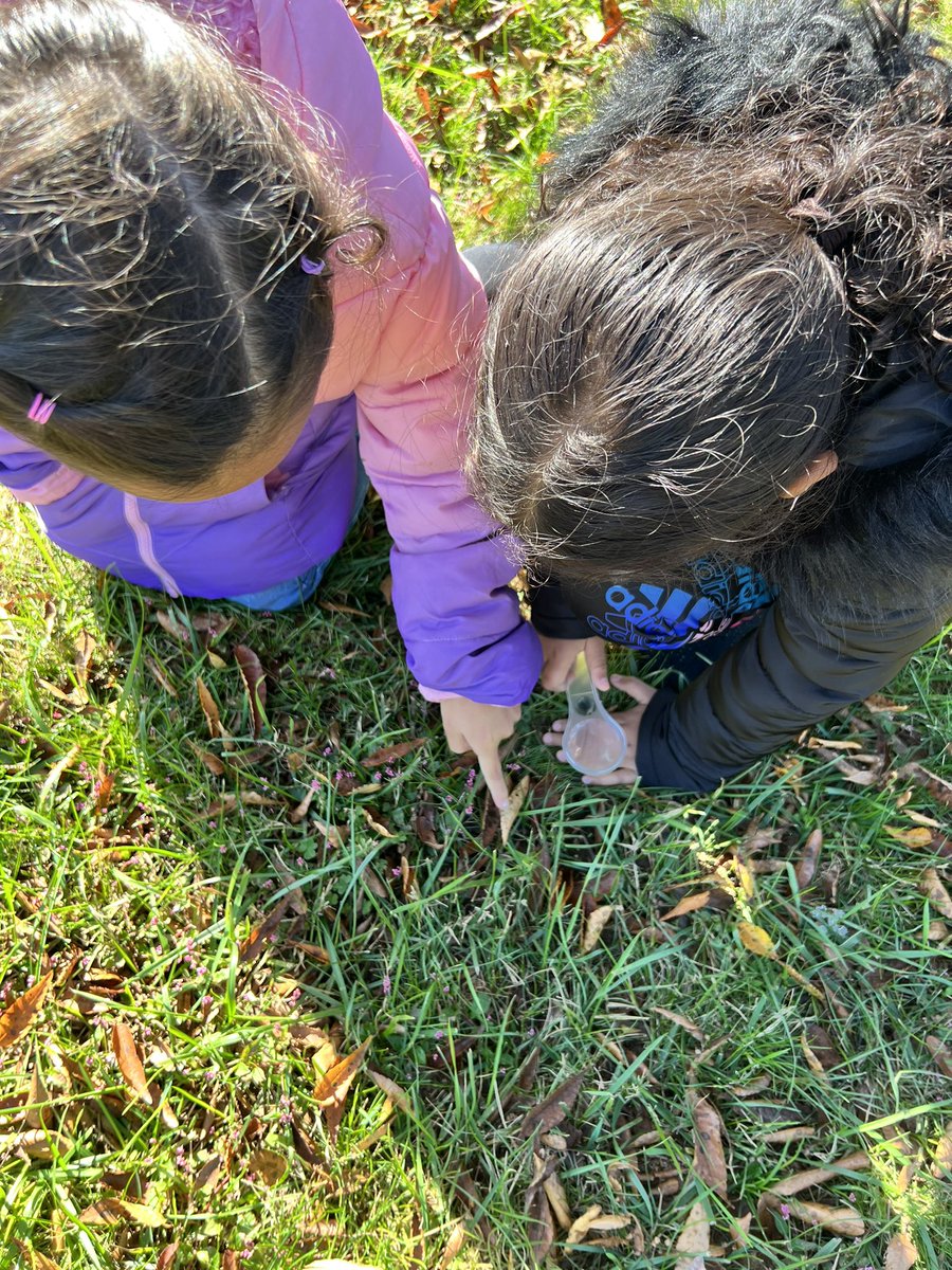 JJaramilloESL's tweet photo. Last week, we went to Catawba Science center to learn about animal life cycles and sea animals.
2nd grade had so much fun!
Thank you @GOoutsideNC for this great language learning opportunity for my multilingual learners!
@RSSchoolsNC @knollwoodelem https://t.co/o0xjRA3vOs