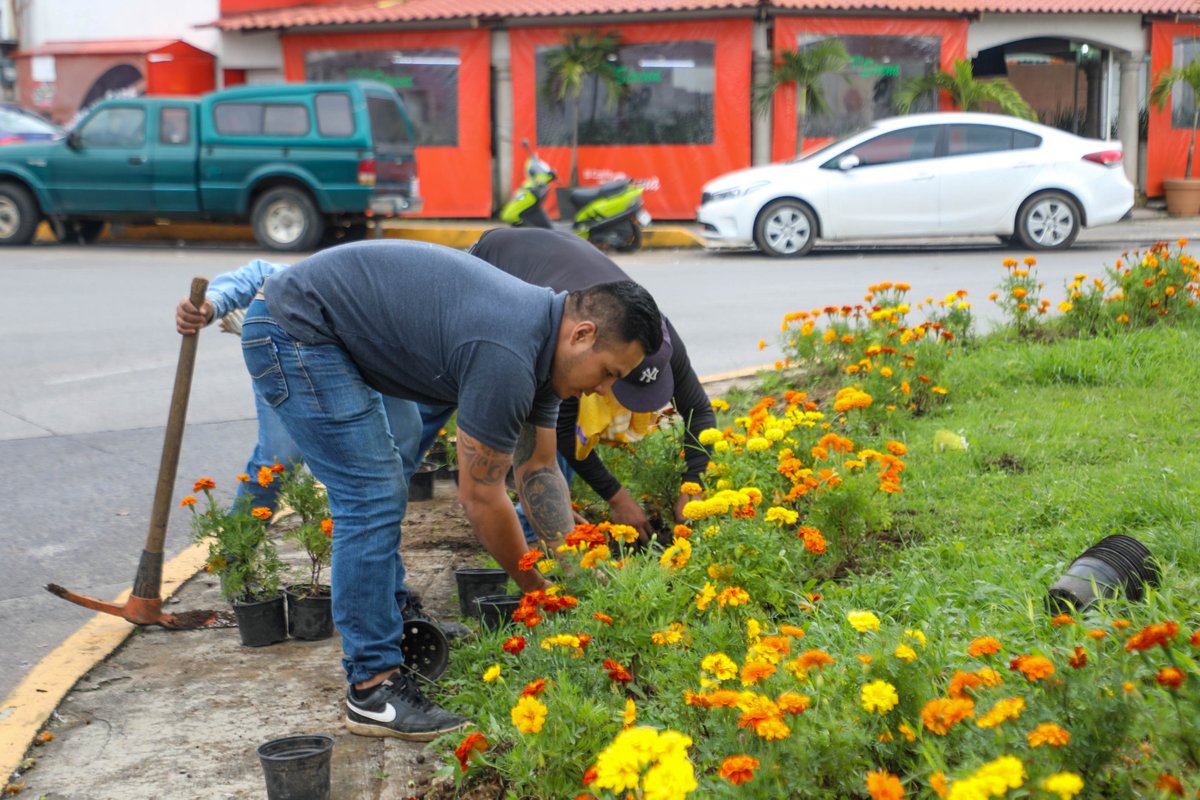 El H. Ayuntamiento de Coatepec a través de la dirección de servicios municipales se encuentra realizando el embellecimiento de nuestro pueblo, con motivo de las festividades de todos santos.

En #Coatepec fomentamos las tradiciones que nos llenan de orgullo. 

#CambioConOrgullo