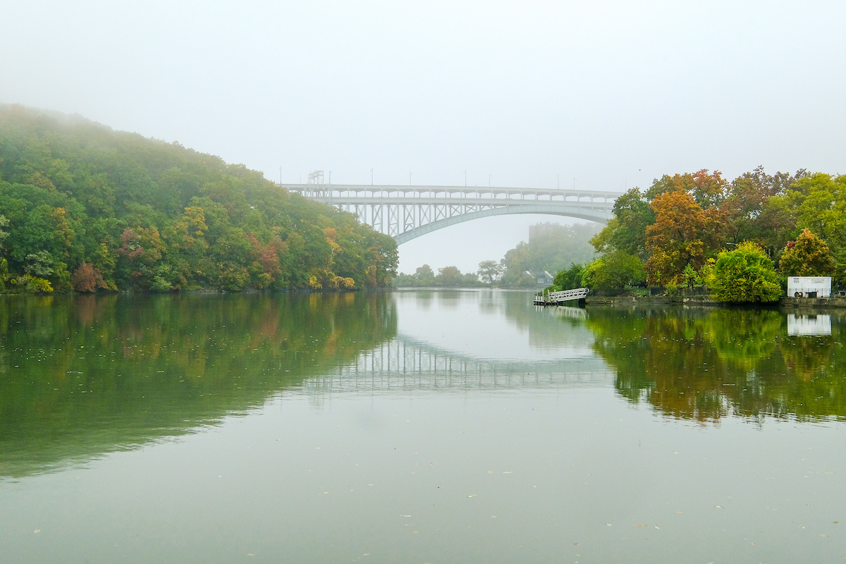 Sweet Dew💙💛🌻🌟 🙏 on Twitter "RT NYCParks The fog rolled in this