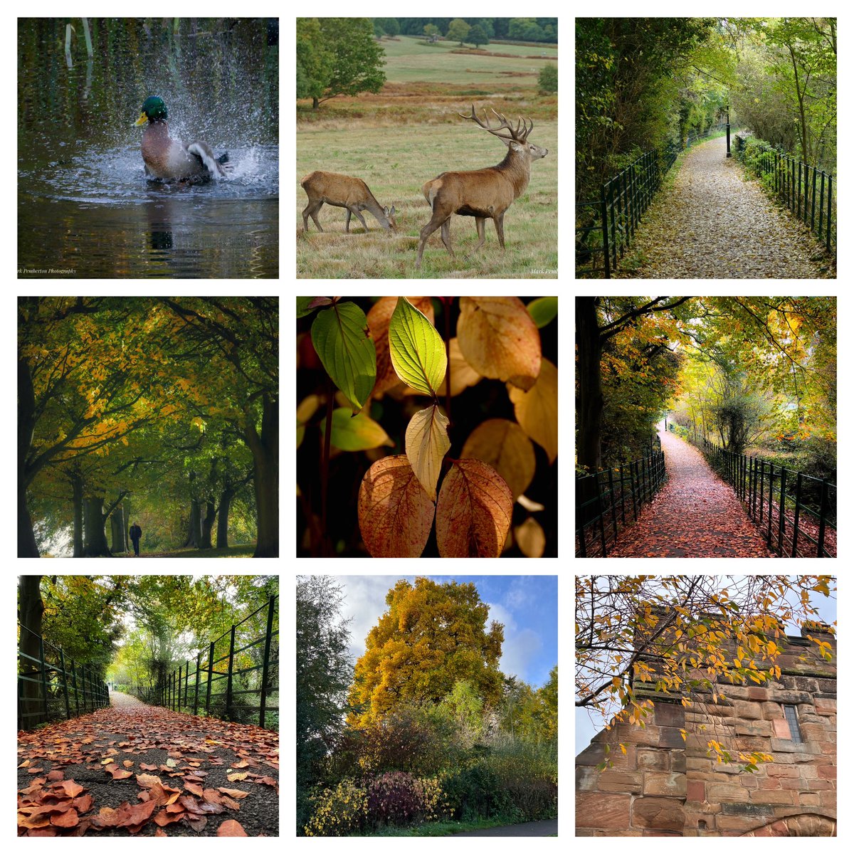 Mark Pemberton tweet media