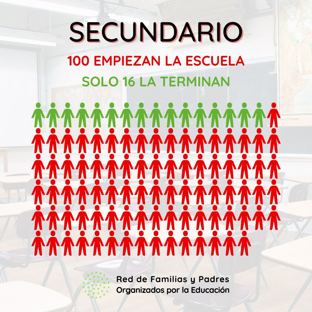 Padres Organizados Necochea tweet media