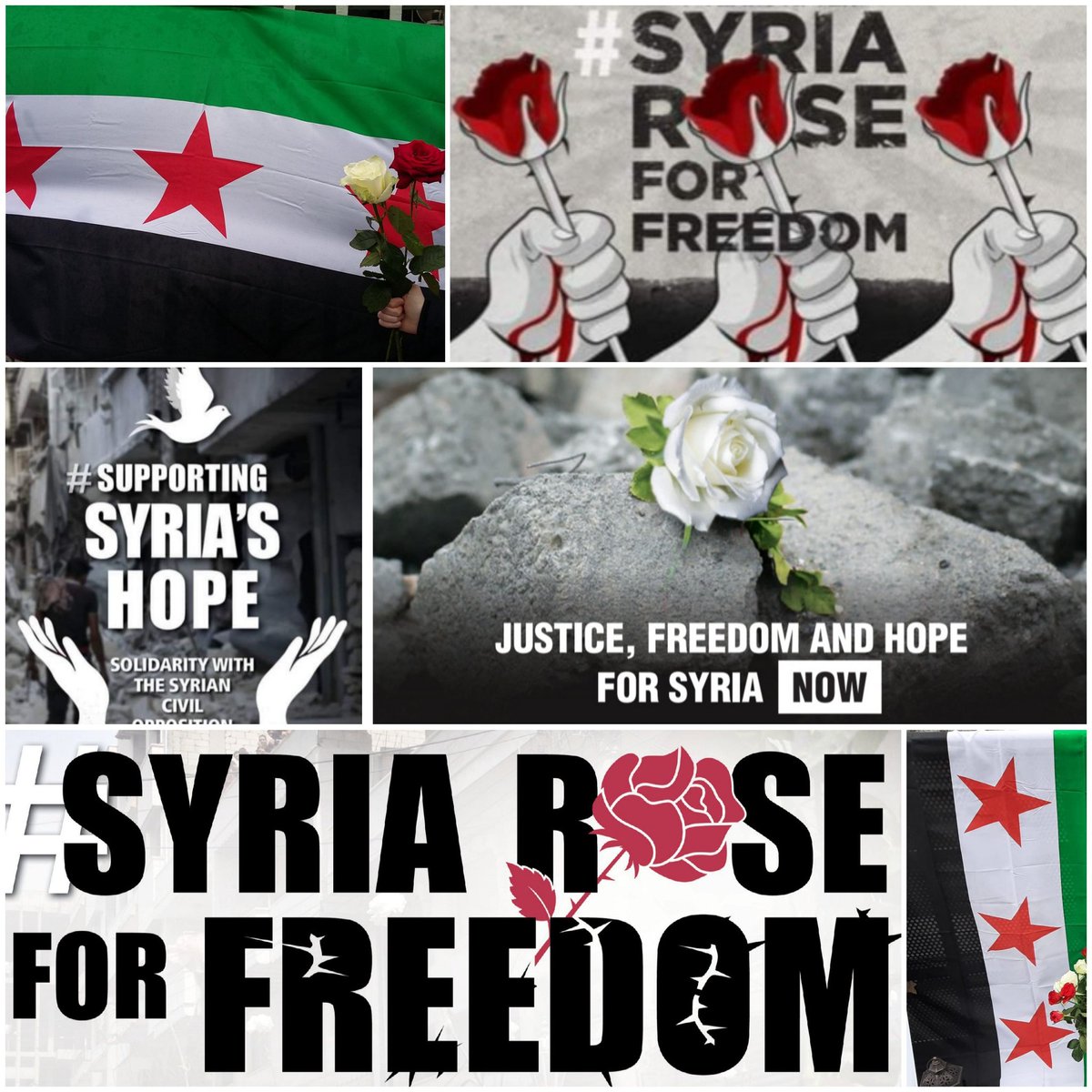 Syria_Irl's tweet photo. @FARED_ALHOR #FreeSyria
#SyriaRoseforFreedom
#SupportingSyriasHope
#StandwithChildrenofSyria https://t.co/Yk713uY52a