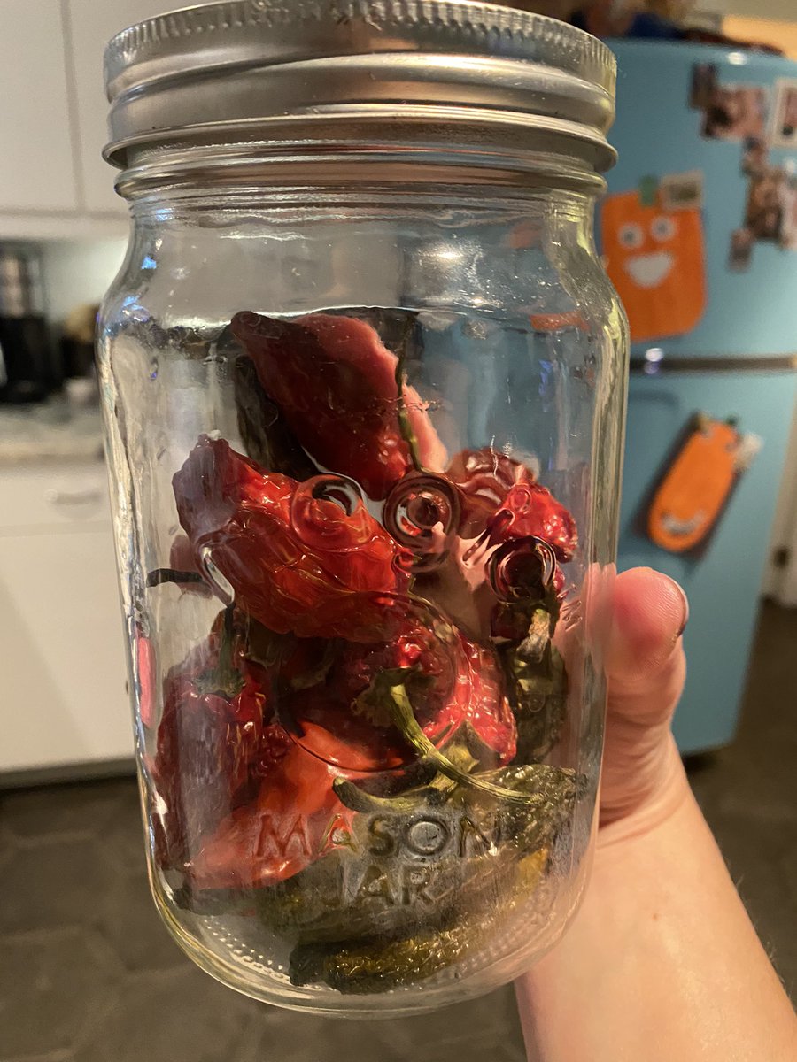 Rizabellepow's tweet photo. I dried my own chilis this years!!!! #AndSheCooks #RPMDesignsDC https://t.co/574gKnscGl