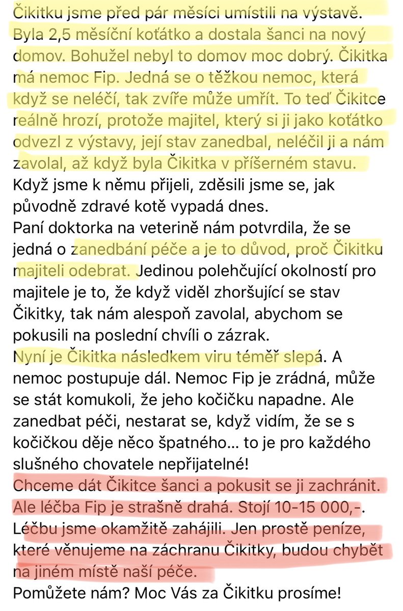 Katka Etrychova tweet media