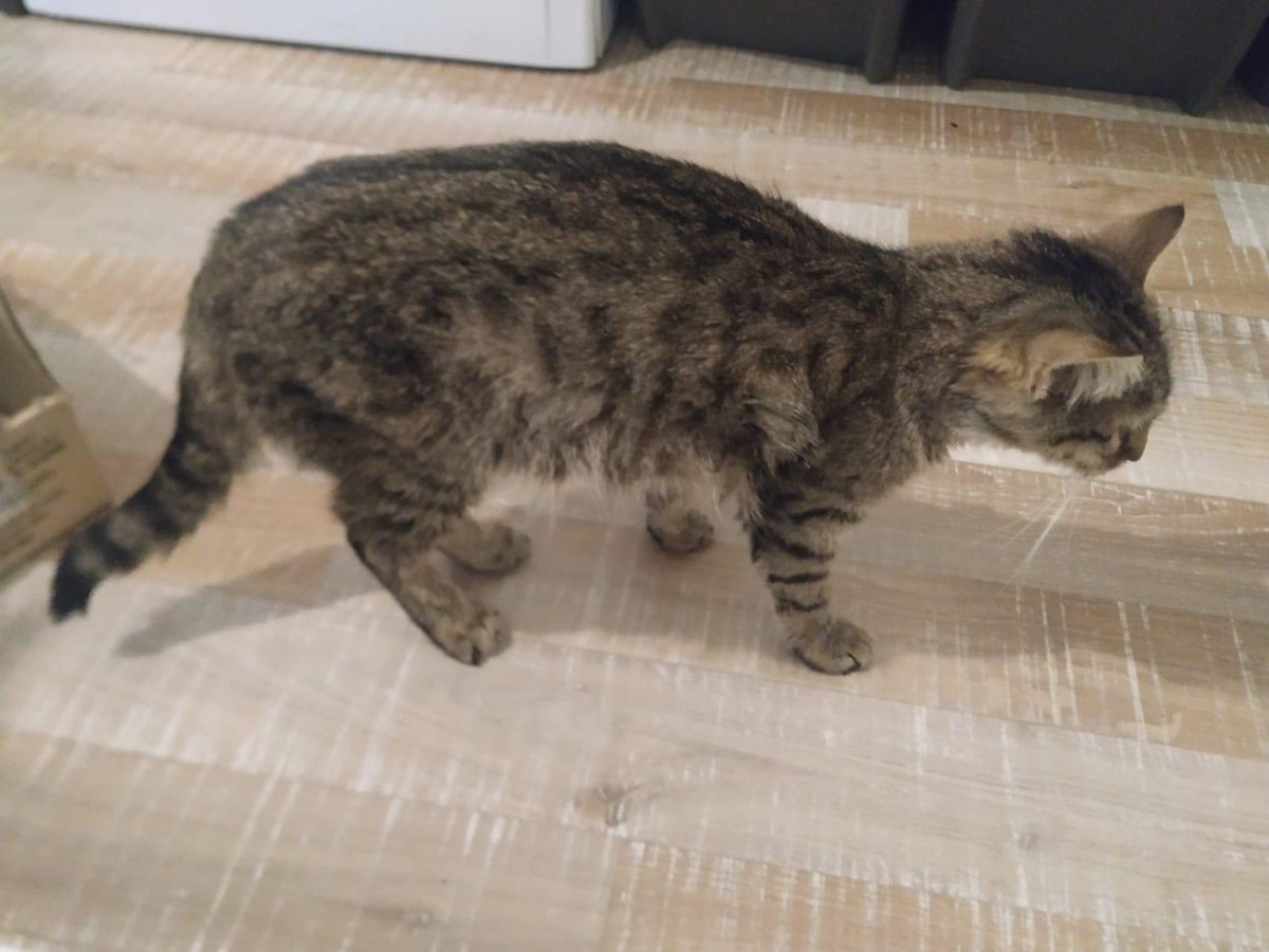 Katka Etrychova tweet media