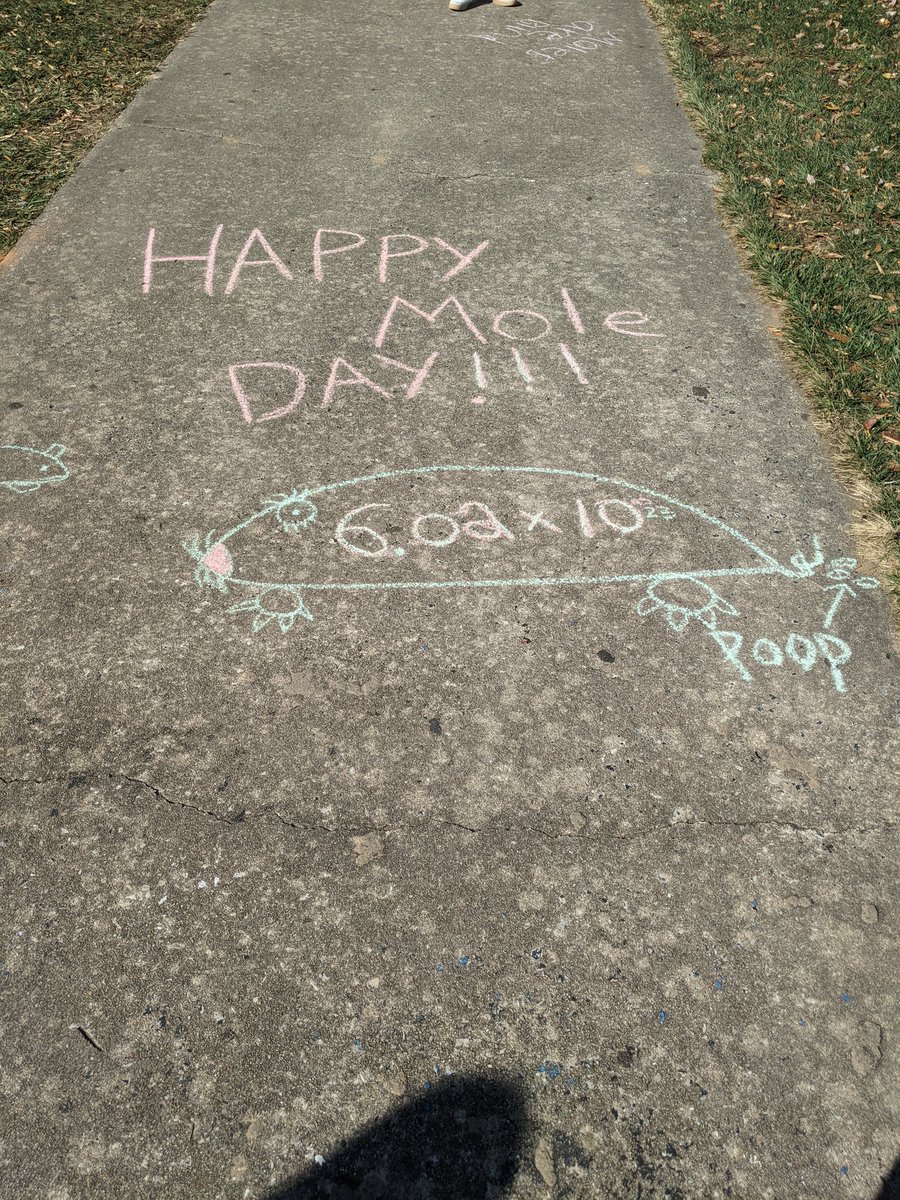 Tara Wodzicki tweet media