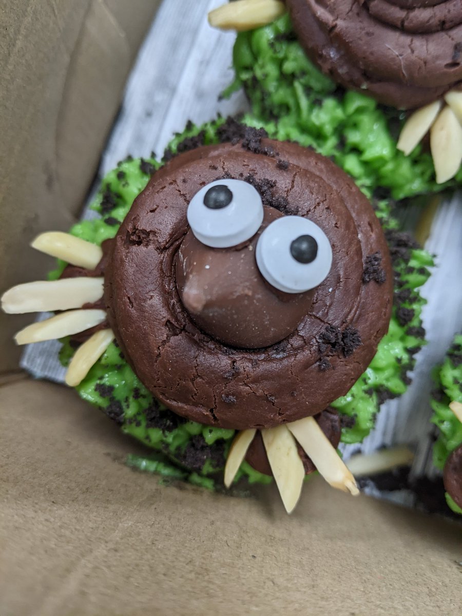 Tara Wodzicki tweet media