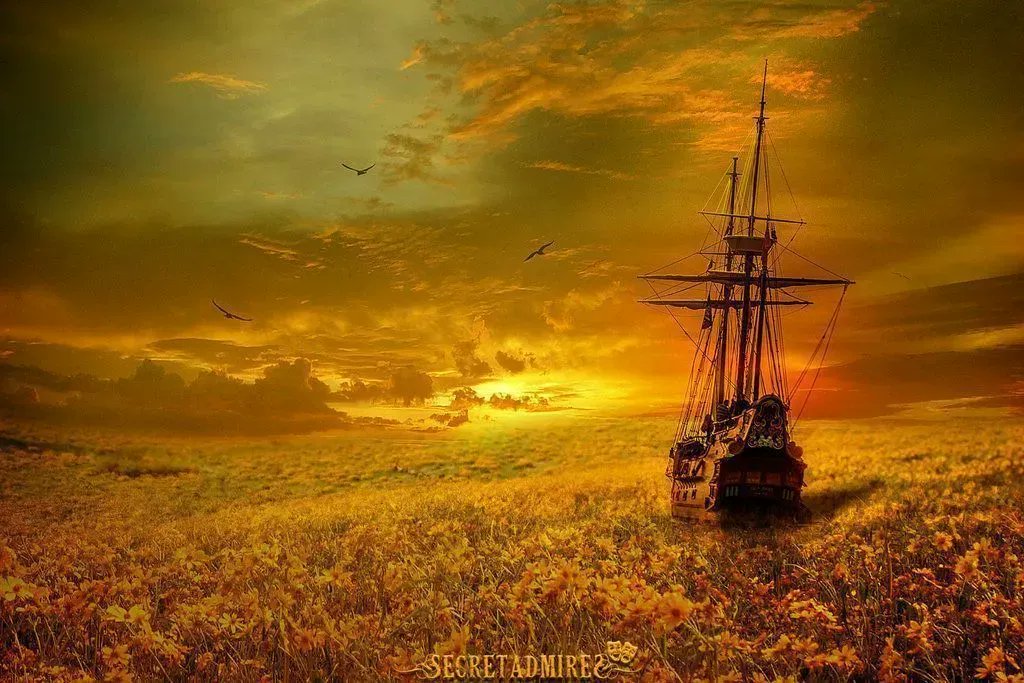 noveliciouss's tweet photo. Always make room for the unexpected in yourself.
STEVE MARTIN
#amwriting #writing #writersproblems #books https://t.co/D2wsmgjvCb