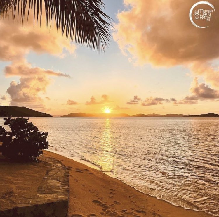 BVIslands_UK's tweet photo. The golden hour, one of our favourite times of the day ✨❤️🇻🇬 #BVI #BVILove #BritishVirginIslands #Paradise 📷 @MangoBayResort https://t.co/XpcnYXkps4