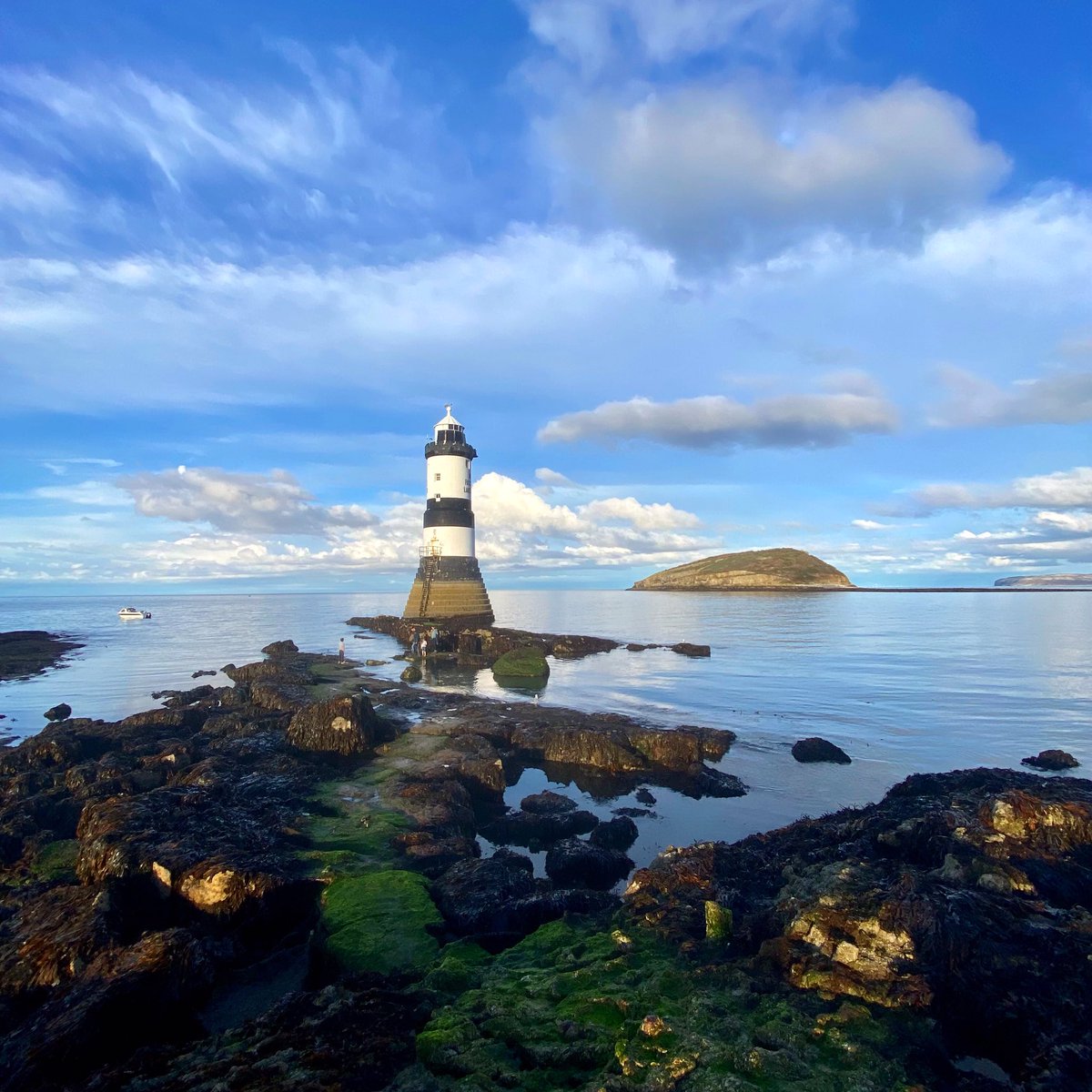 Joy Aitman photos tweet media