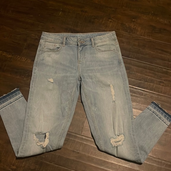 Laura Gregory 🌊🏳️‍🌈🌍🐝🐾 tweet media