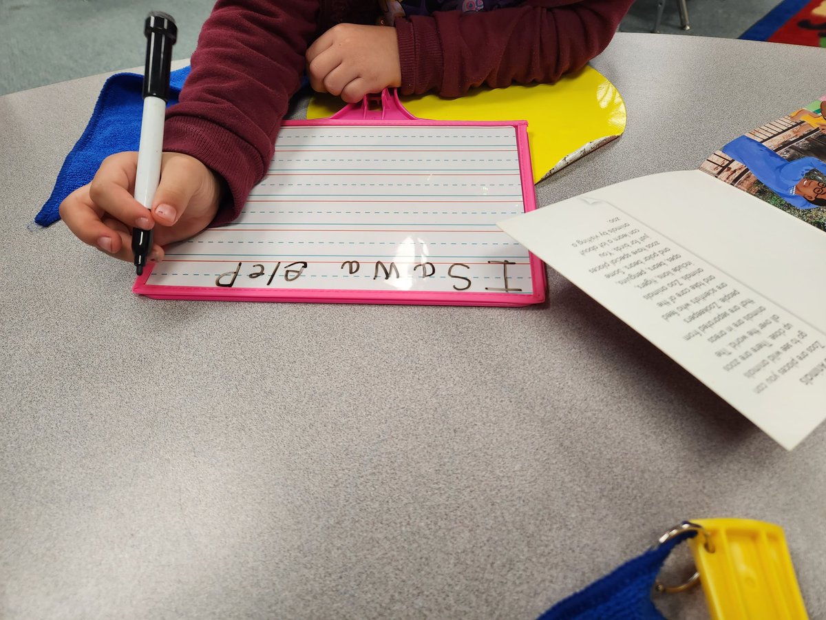 Suzanne Morgan tweet media