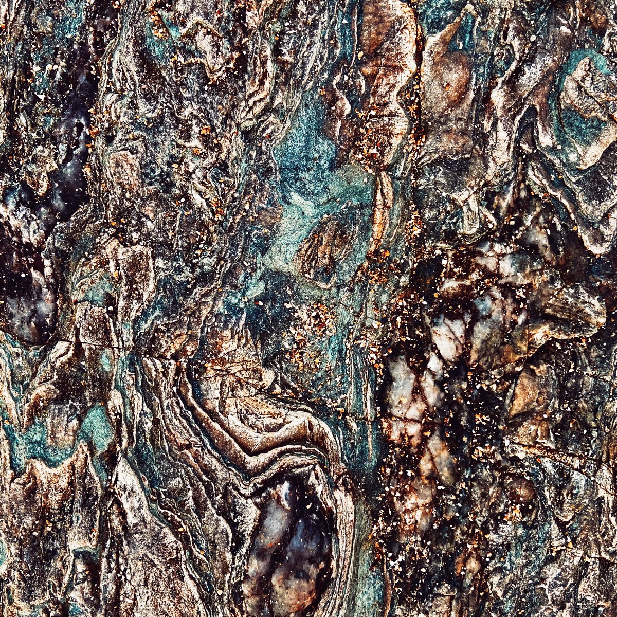 Joy Aitman photos tweet media